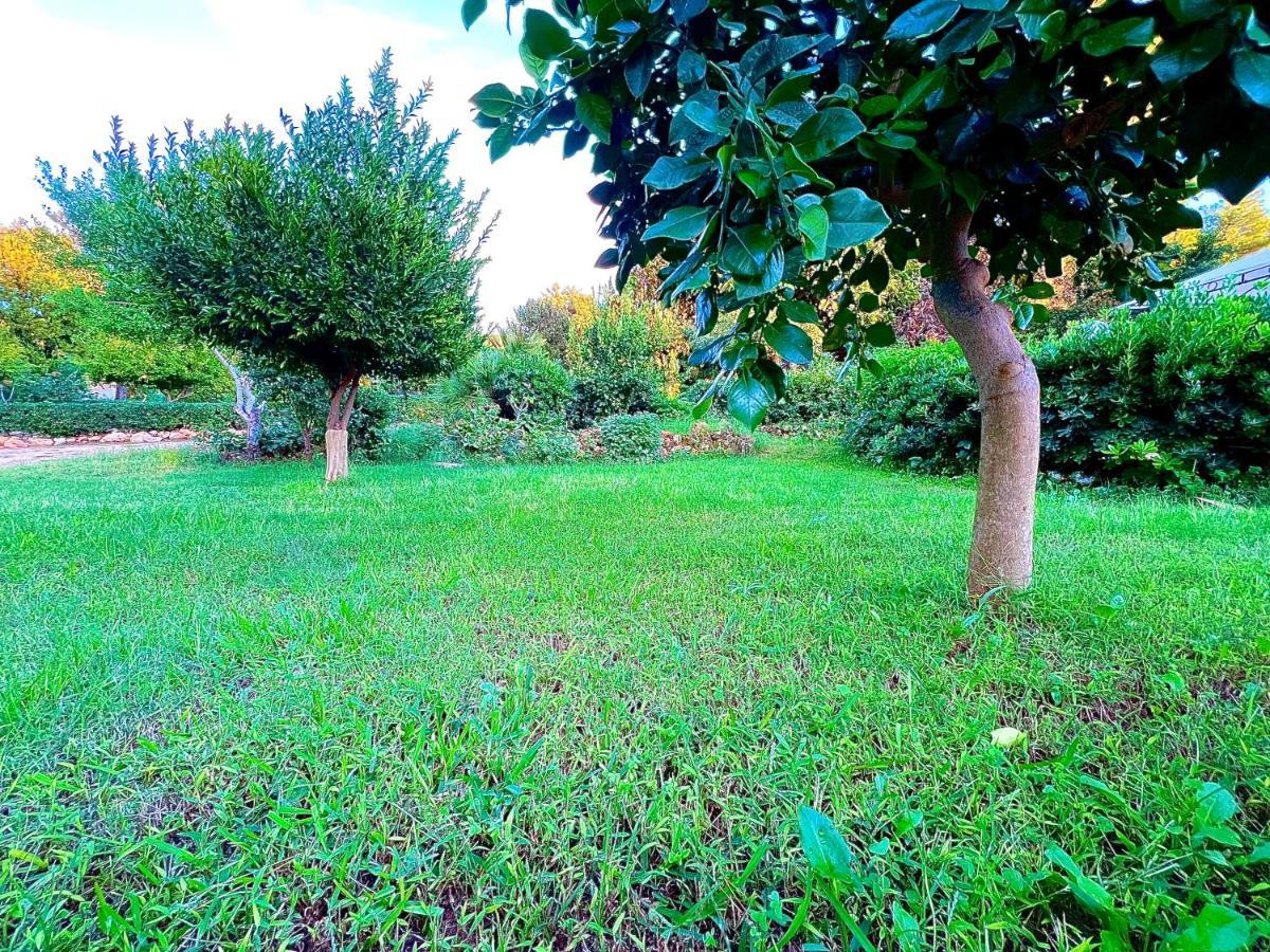 Villa Rosemary Marsala Exterior photo